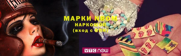 прущие грибы Абаза