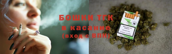 прущие грибы Абаза