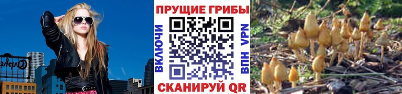 Галлюциногенные грибы Magic Shrooms  ссылка на мегу ССЫЛКА  Советск  как найти закладки 
